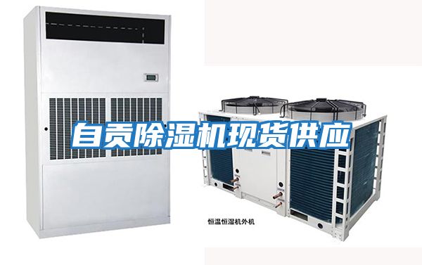 自貢除濕機現(xiàn)貨供應(yīng)