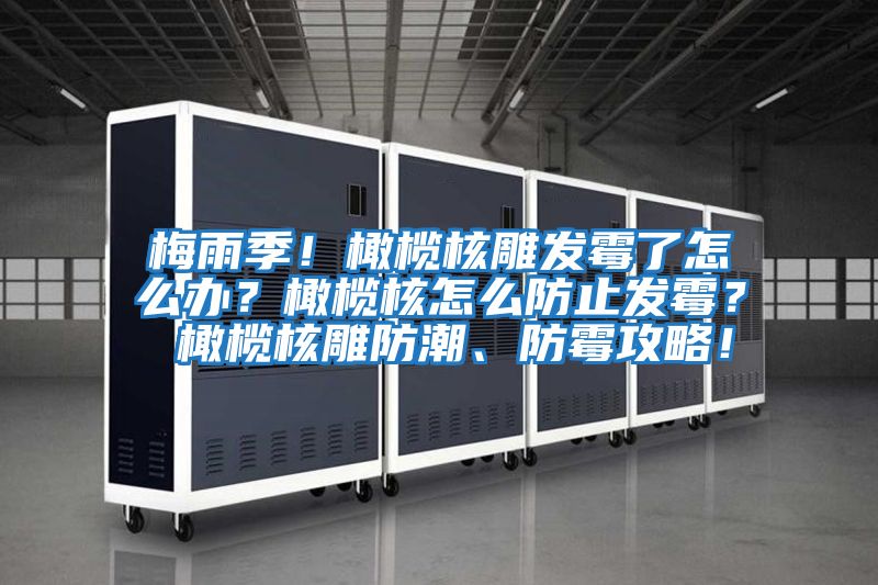 梅雨季！橄欖核雕發霉了怎么辦？橄欖核怎么防止發霉？ 橄欖核雕防潮、防霉攻略！