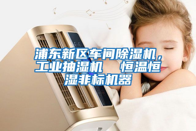 浦東新區(qū)車(chē)間除濕機(jī)，工業(yè)抽濕機(jī)  恒溫恒濕非標(biāo)機(jī)器