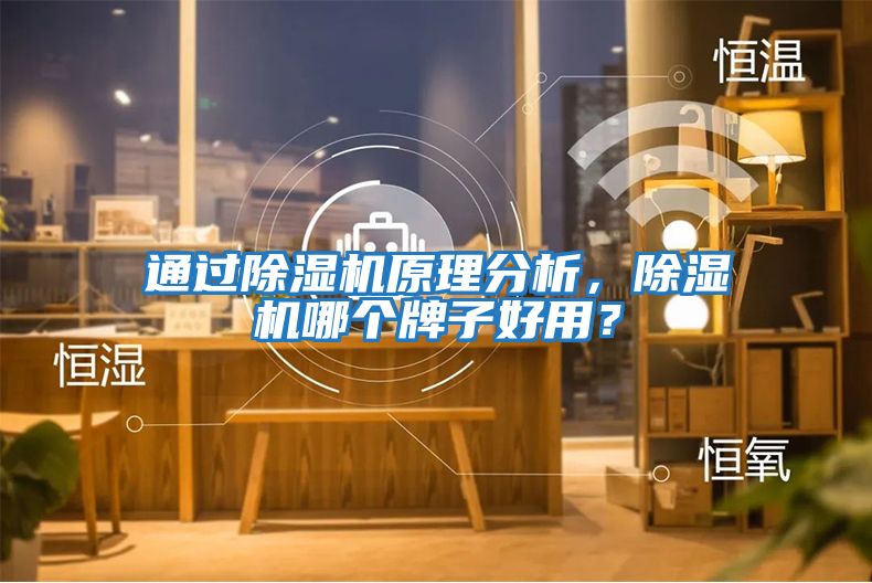 通過除濕機原理分析，除濕機哪個牌子好用？