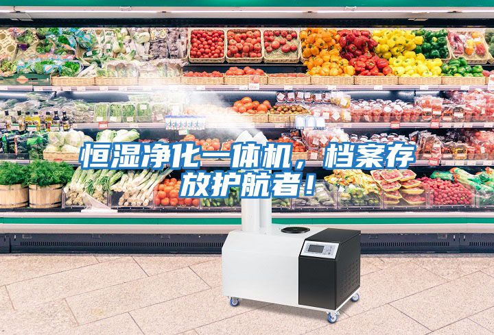 恒濕凈化一體機(jī)，檔案存放護(hù)航者！