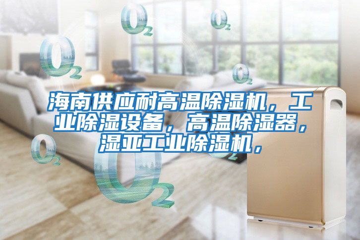海南供應(yīng)耐高溫除濕機(jī)，工業(yè)除濕設(shè)備，高溫除濕器，濕亞工業(yè)除濕機(jī)，