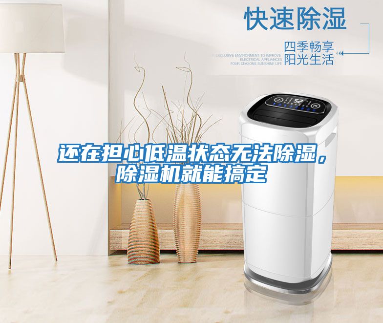 還在擔心低溫狀態無法除濕，除濕機就能搞定