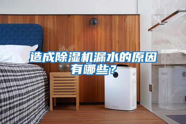造成除濕機漏水的原因有哪些？