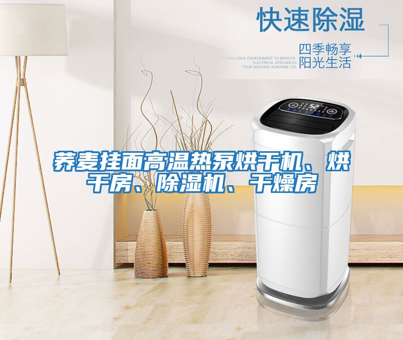 蕎麥掛面高溫熱泵烘干機、烘干房、除濕機、干燥房