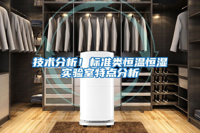 技術分析！標準類恒溫恒濕實驗室特點分析