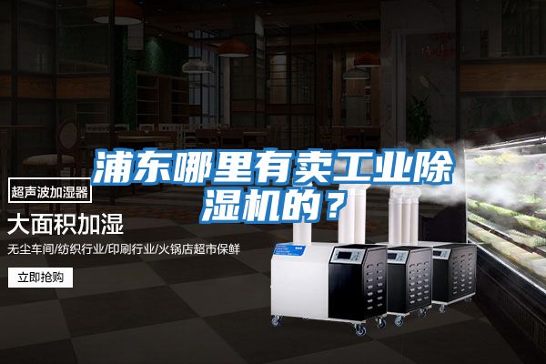 浦東哪里有賣工業(yè)除濕機(jī)的？
