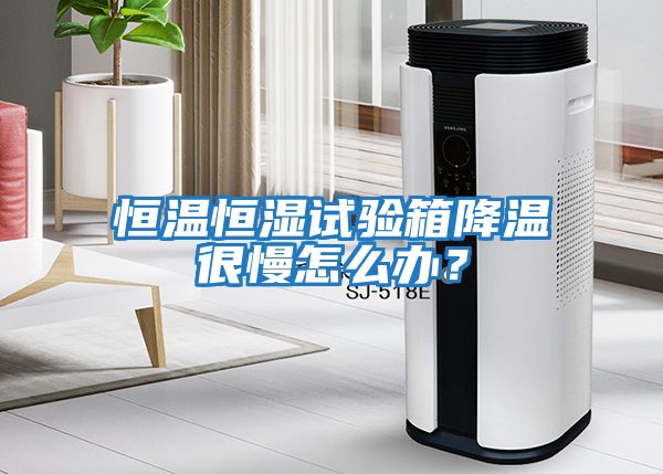 恒溫恒濕試驗箱降溫很慢怎么辦？