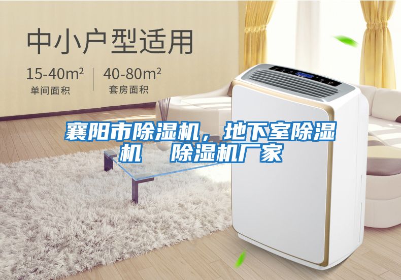 襄陽市除濕機，地下室除濕機  除濕機廠家