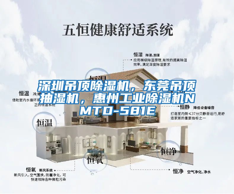深圳吊頂除濕機，東莞吊頂抽濕機，惠州工業除濕機NMTD-581E