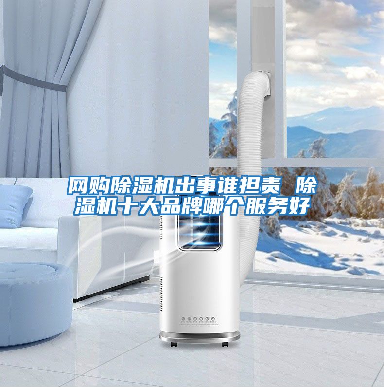 網(wǎng)購(gòu)除濕機(jī)出事誰擔(dān)責(zé) 除濕機(jī)十大品牌哪個(gè)服務(wù)好