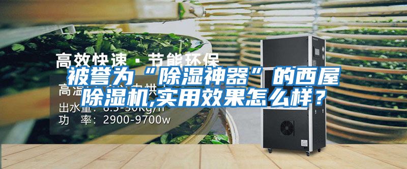 被譽(yù)為“除濕神器”的西屋除濕機(jī),實(shí)用效果怎么樣？