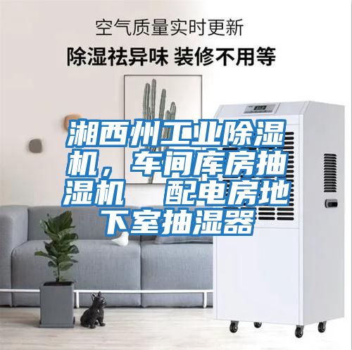 湘西州工業(yè)除濕機(jī)，車間庫房抽濕機(jī)  配電房地下室抽濕器