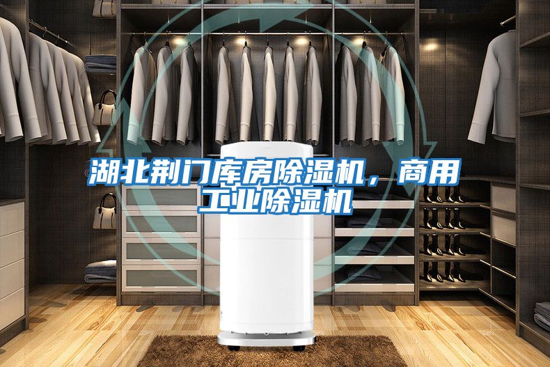 湖北荊門庫房除濕機，商用工業除濕機
