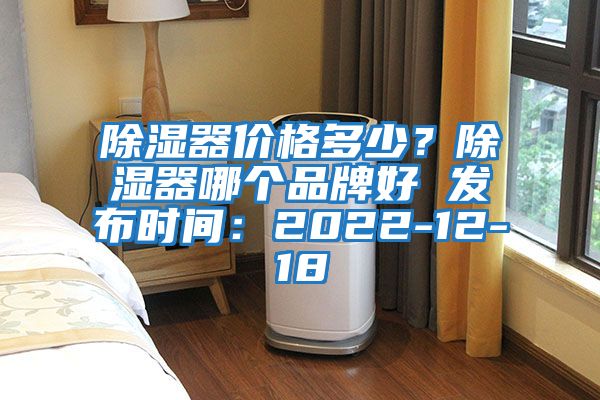 除濕器價格多少？除濕器哪個品牌好 發布時間：2022-12-18