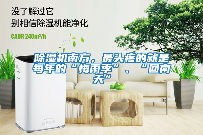 除濕機南方，最頭疼的就是每年的“梅雨季”、“回南天”