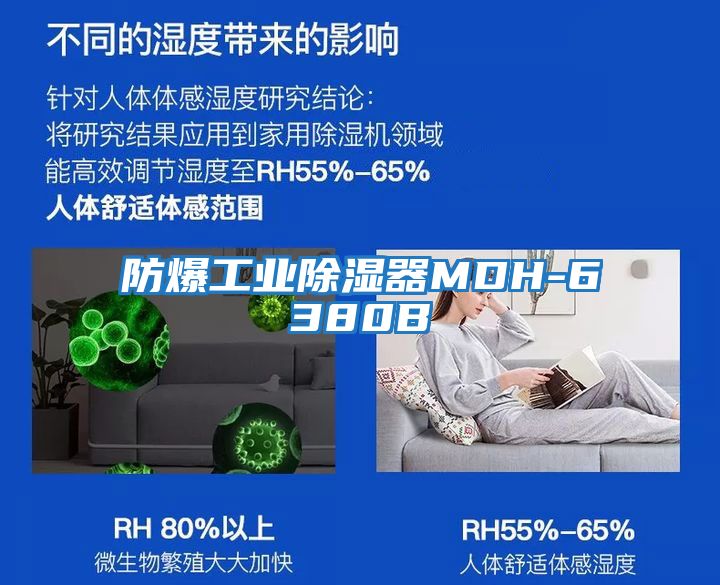 防爆工業除濕器MDH-6380B