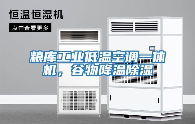 糧庫工業低溫空調一體機，谷物降溫除濕