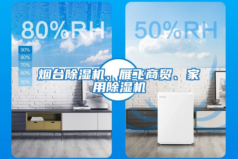 煙臺除濕機(jī)、雁飛商貿(mào)、家用除濕機(jī)