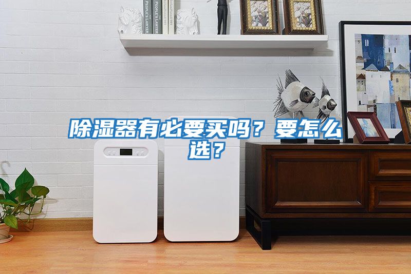 除濕器有必要買(mǎi)嗎？要怎么選？