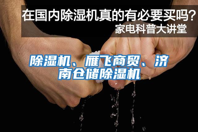 除濕機(jī)、雁飛商貿(mào)、濟(jì)南倉(cāng)儲(chǔ)除濕機(jī)