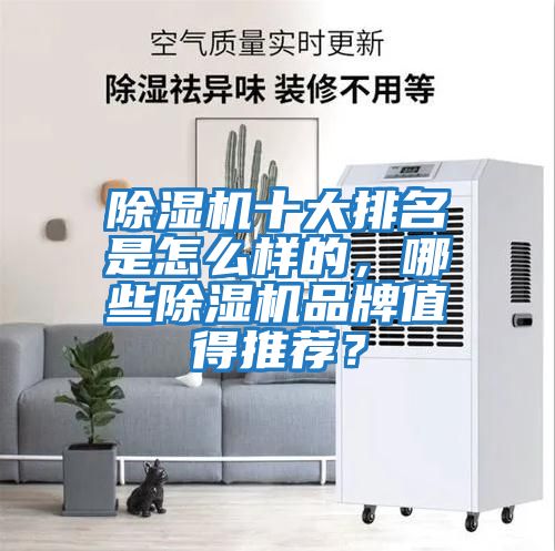 除濕機(jī)十大排名是怎么樣的，哪些除濕機(jī)品牌值得推薦？