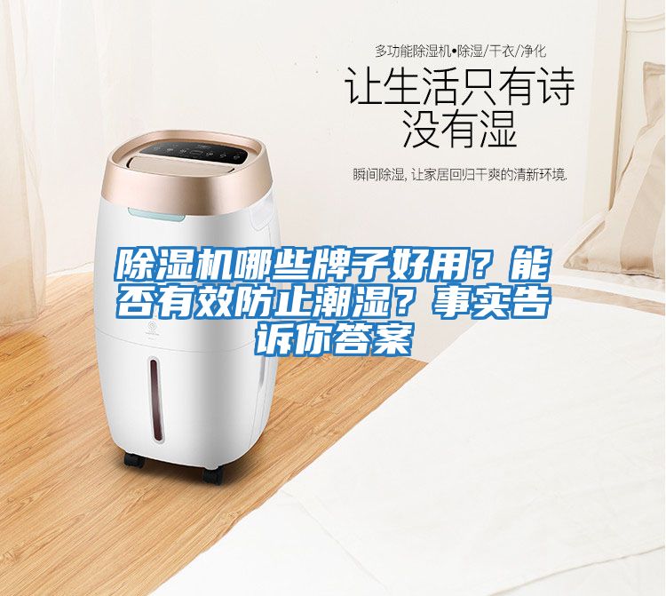 除濕機哪些牌子好用？能否有效防止潮濕？事實告訴你答案