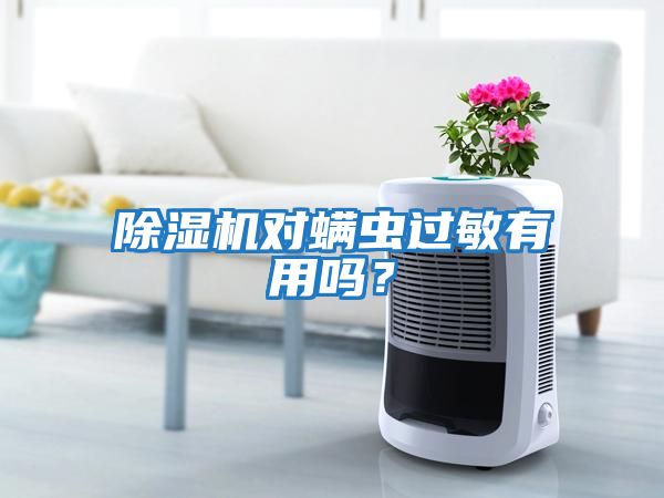 除濕機(jī)對(duì)螨蟲過(guò)敏有用嗎？