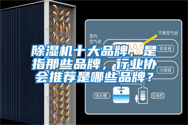除濕機(jī)十大品牌，是指那些品牌，行業(yè)協(xié)會(huì)推薦是哪些品牌？