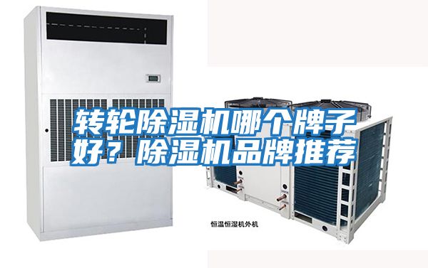 轉輪除濕機哪個牌子好？除濕機品牌推薦
