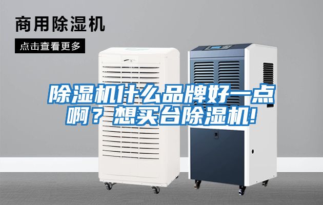 除濕機(jī)什么品牌好一點(diǎn)啊？想買臺除濕機(jī)!