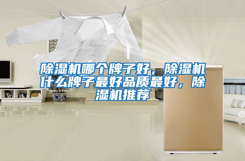 除濕機哪個牌子好，除濕機什么牌子最好品質(zhì)最好，除濕機推薦