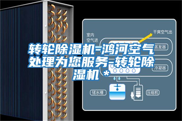 轉(zhuǎn)輪除濕機-鴻河空氣處理為您服務(wù)-轉(zhuǎn)輪除濕機＊