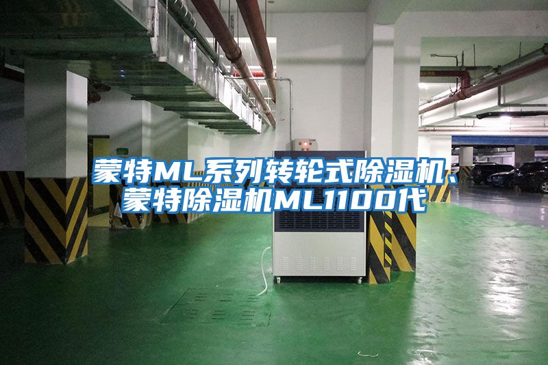 蒙特ML系列轉(zhuǎn)輪式除濕機(jī)、蒙特除濕機(jī)ML1100代