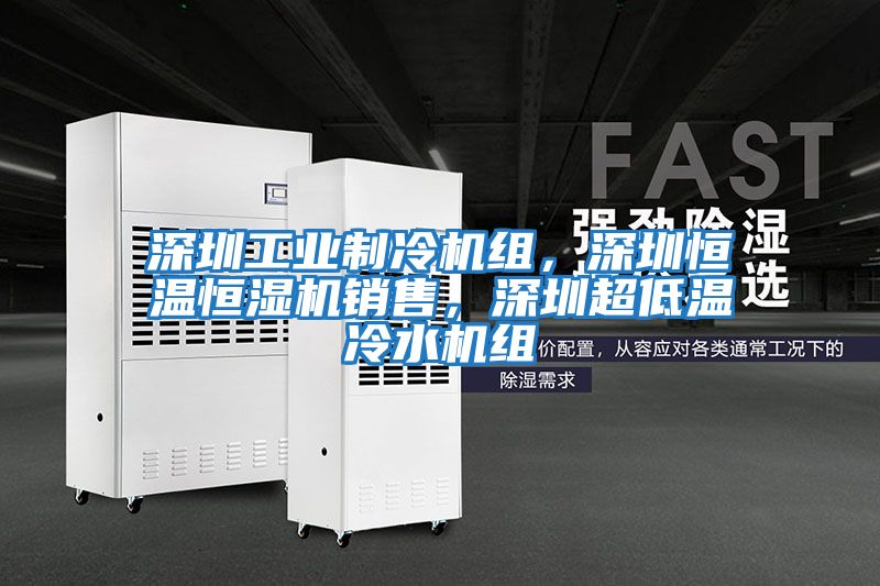 深圳工業制冷機組，深圳恒溫恒濕機銷售，深圳超低溫冷水機組