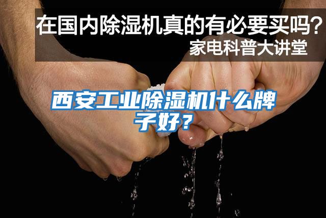 西安工業(yè)除濕機(jī)什么牌子好？