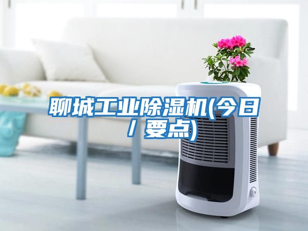 聊城工業(yè)除濕機(jī)(今日／要點(diǎn))