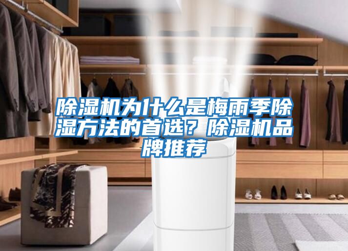 除濕機為什么是梅雨季除濕方法的首選？除濕機品牌推薦