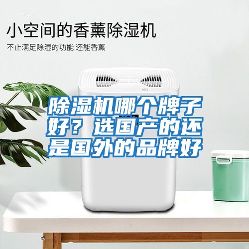 除濕機(jī)哪個(gè)牌子好？選國(guó)產(chǎn)的還是國(guó)外的品牌好