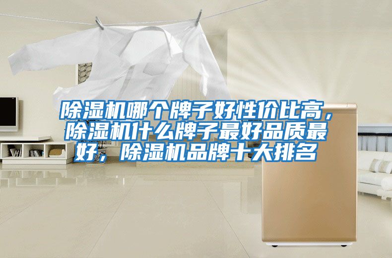 除濕機哪個牌子好性價比高，除濕機什么牌子最好品質最好，除濕機品牌十大排名