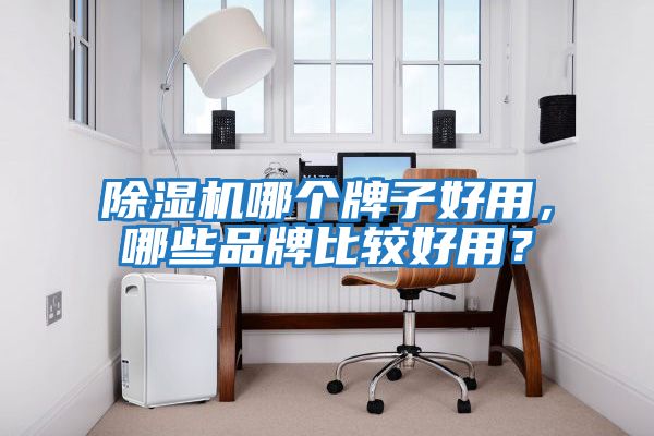 除濕機哪個牌子好用，哪些品牌比較好用？