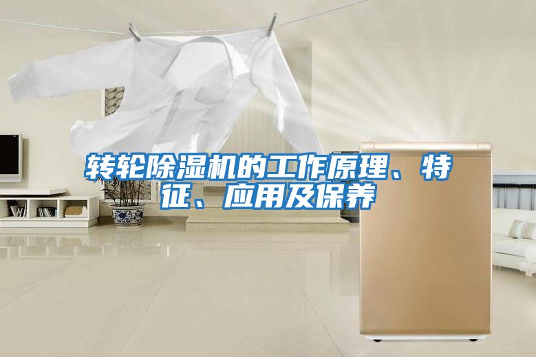轉輪除濕機的工作原理、特征、應用及保養