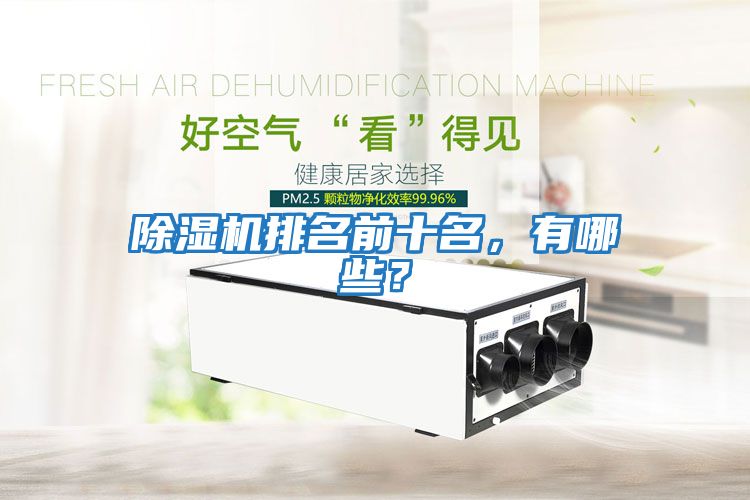 除濕機(jī)排名前十名，有哪些？
