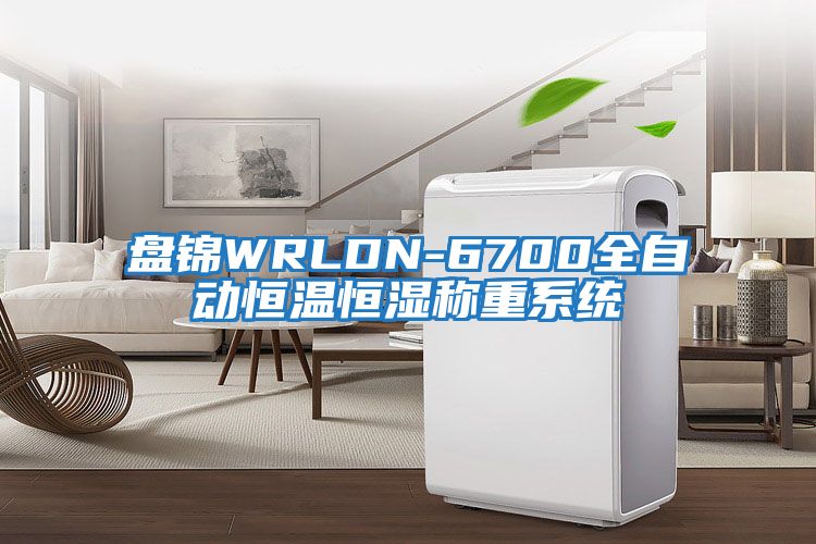 盤(pán)錦WRLDN-6700全自動(dòng)恒溫恒濕稱重系統(tǒng)