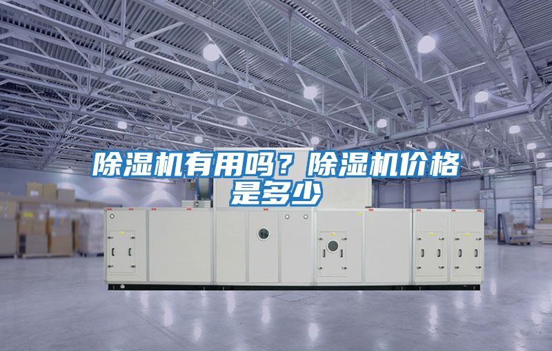 除濕機有用嗎？除濕機價格是多少