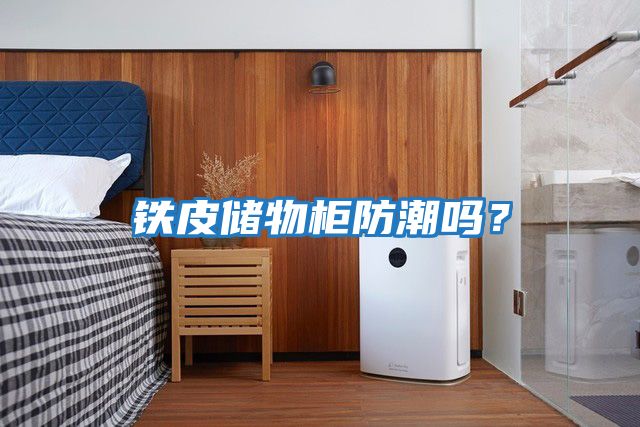 鐵皮儲(chǔ)物柜防潮嗎？