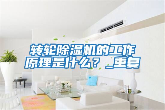 轉輪除濕機的工作原理是什么？_重復