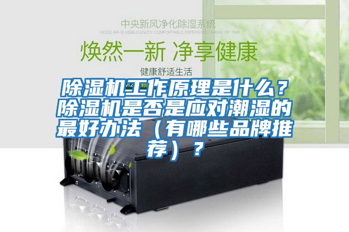 除濕機工作原理是什么？除濕機是否是應(yīng)對潮濕的最好辦法（有哪些品牌推薦）？