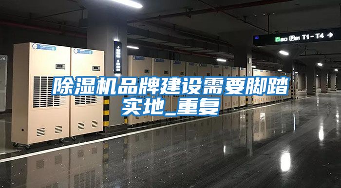 除濕機品牌建設(shè)需要腳踏實地_重復(fù)
