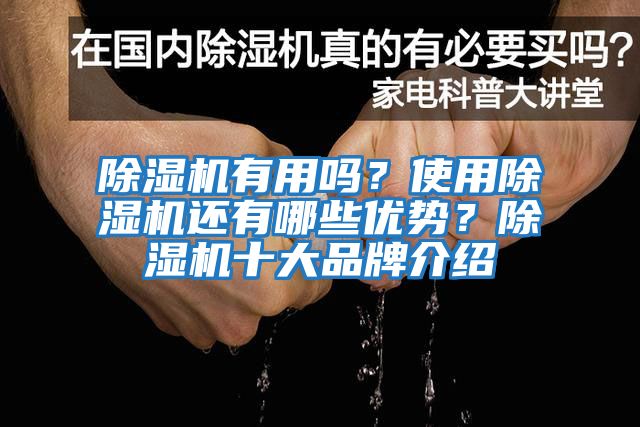 除濕機有用嗎？使用除濕機還有哪些優(yōu)勢？除濕機十大品牌介紹